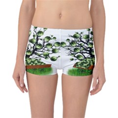 Watermelon Tree Abstraction On Watermelon Abundance Boyleg Bikini Bottoms by pakminggu