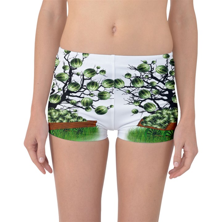 Watermelon Tree Abstraction On Watermelon Abundance Boyleg Bikini Bottoms