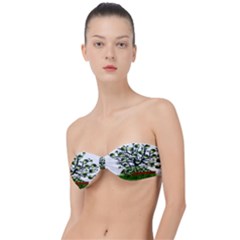 Watermelon Tree Abstraction On Watermelon Abundance Classic Bandeau Bikini Top  by pakminggu