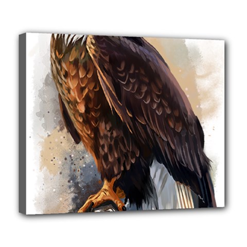 Eagle Art Eagle Watercolor Painting Bird Animal Deluxe Canvas 24  X 20  (stretched) by pakminggu