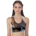 Eagle Art Eagle Watercolor Painting Bird Animal Sports Bra View1