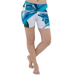 Two Dolphins Art Atlantic Dolphin Painting Animal Marine Mammal Lightweight Velour Yoga Shorts by pakminggu