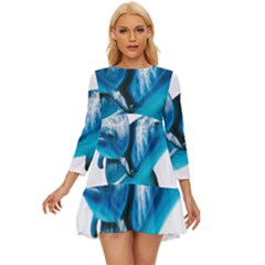 Two Dolphins Art Atlantic Dolphin Painting Animal Marine Mammal Long Sleeve Babydoll Dress