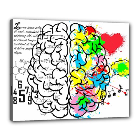 Brain Left Logic Language Science Canvas 20  X 16  (stretched) by pakminggu