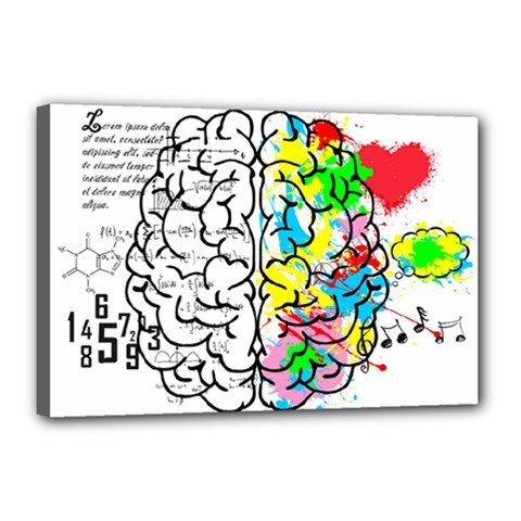 Brain Left Logic Language Science Canvas 18  X 12  (stretched) by pakminggu