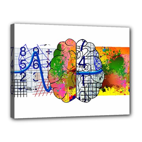 Brain Cerebrum Biology Abstract Canvas 16  X 12  (stretched) by pakminggu