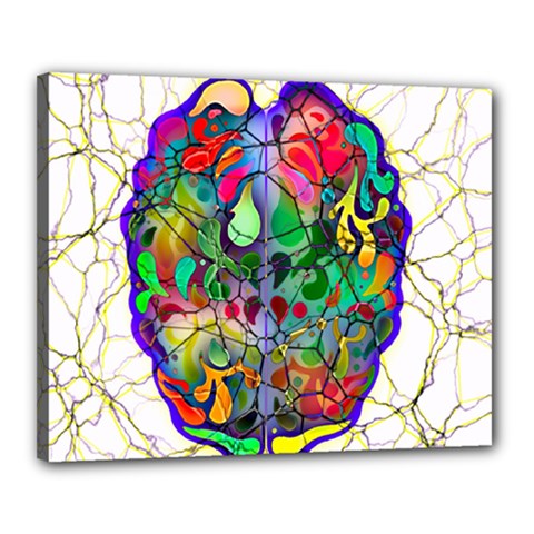 Brain Head Mind Man Silhouette Canvas 20  X 16  (stretched) by pakminggu