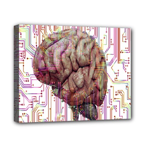 Brain Think Neurons Circuit Canvas 10  X 8  (stretched) by pakminggu