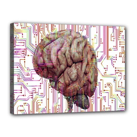 Brain Think Neurons Circuit Canvas 16  X 12  (stretched) by pakminggu