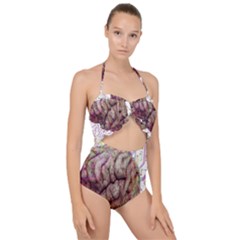 Brain Think Neurons Circuit Scallop Top Cut Out Swimsuit by pakminggu