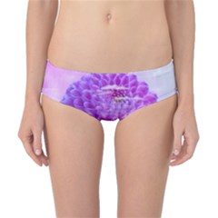 Dahlia Blossom Bloom Dahlias Fall Classic Bikini Bottoms by danenraven