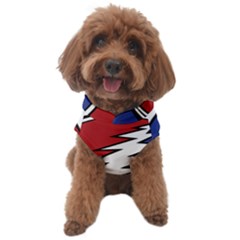 Grateful Dead Dog Sweater by Mog4mog4