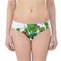 Teenage Mutant Ninja Turtles Hipster Bikini Bottoms View1