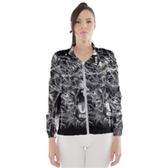 Lion Furious Abstract Desing Furious Women s Windbreaker by Mog4mog4