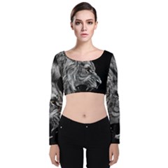 Roar Angry Male Lion Black Velvet Long Sleeve Crop Top by Mog4mog4