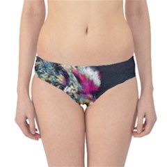 Angry Male Lion Roar Hipster Bikini Bottoms