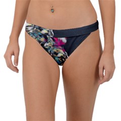 Angry Male Lion Roar Band Bikini Bottoms