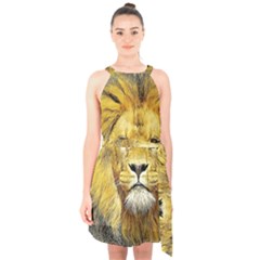 Lion Lioness Wildlife Hunter Halter Collar Waist Tie Chiffon Dress by Mog4mog4