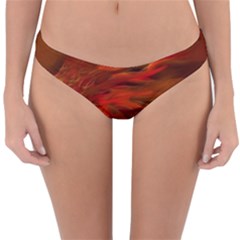 Fire Lion Flames Light Mystical Dangerous Wild Reversible Hipster Bikini Bottoms by Mog4mog4