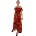 Fire Lion Flames Light Mystical Dangerous Wild Off Shoulder Open Front Chiffon Dress View1