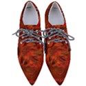 Fire Lion Flames Light Mystical Dangerous Wild Pointed Oxford Shoes View1