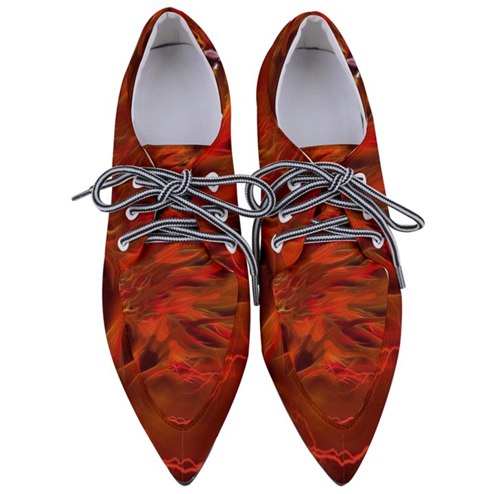 Fire Lion Flames Light Mystical Dangerous Wild Pointed Oxford Shoes