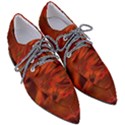 Fire Lion Flames Light Mystical Dangerous Wild Pointed Oxford Shoes View3