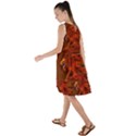 Fire Lion Flames Light Mystical Dangerous Wild Frill Swing Dress View2