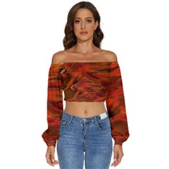 Fire Lion Flames Light Mystical Dangerous Wild Long Sleeve Crinkled Weave Crop Top by Mog4mog4