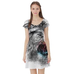 Lion King Head Short Sleeve Skater Dress by Mog4mog4