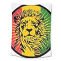 Lion Head Africa Rasta Medium Tapestry View1