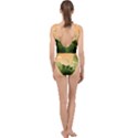 Forest Images Vector Center Cut Out Swimsuit View2