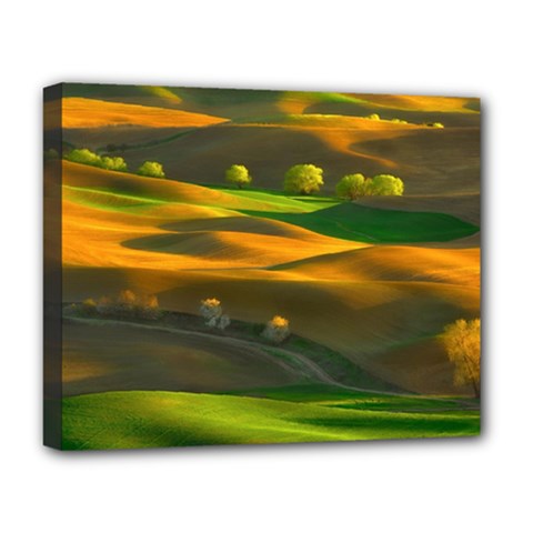 Landscape Usa Nature Washington State Trees Field Palouse Deluxe Canvas 20  X 16  (stretched) by Bakwanart