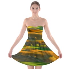 Landscape Usa Nature Washington State Trees Field Palouse Strapless Bra Top Dress by Bakwanart