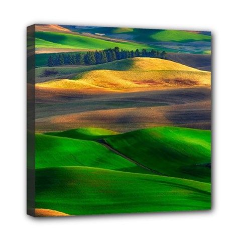 Grassland Nature Palouse Green Field Hill Sky Butte Mini Canvas 8  X 8  (stretched) by Bakwanart