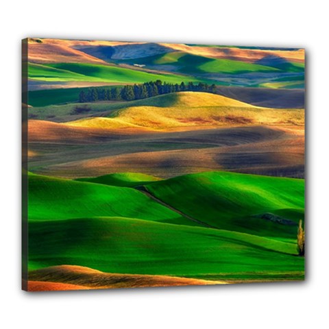 Grassland Nature Palouse Green Field Hill Sky Butte Canvas 24  X 20  (stretched) by Bakwanart