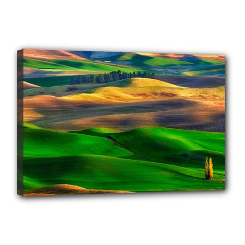 Grassland Nature Palouse Green Field Hill Sky Butte Canvas 18  X 12  (stretched) by Bakwanart