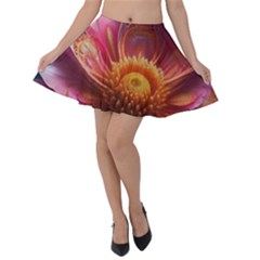 Pink Flowers Petals Blossoms Blooms Art Velvet Skater Skirt