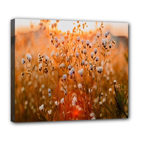 Late Afternoon Deluxe Canvas 24  X 20  (stretched) by artworkshop