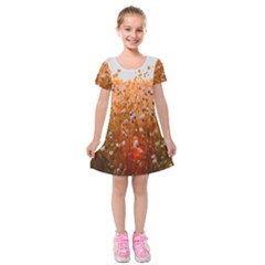 Late Afternoon Kids  Short Sleeve Velvet Dress by artworkshop