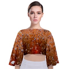 Late Afternoon Tie Back Butterfly Sleeve Chiffon Top by artworkshop