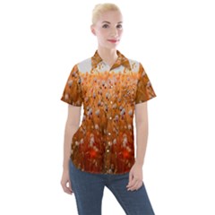 Late Afternoon Women s Short Sleeve Pocket Shirt