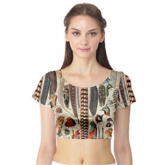 Feathers Birds Vintage Art Short Sleeve Crop Top by Vaneshart