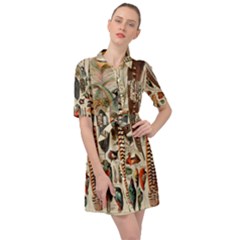 Feathers Birds Vintage Art Belted Shirt Dress by Vaneshart