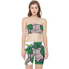 Amphibian-animal-cartoon-reptile Stretch Shorts And Tube Top Set