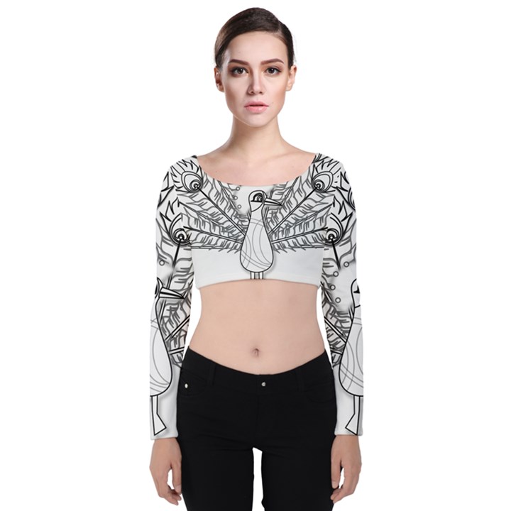 Peacock-plumage-display-bird Velvet Long Sleeve Crop Top