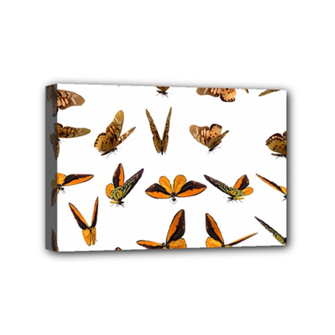 Butterfly Butterflies Insect Swarm Mini Canvas 6  X 4  (stretched) by 99art