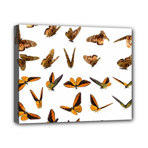 Butterfly Butterflies Insect Swarm Canvas 10  X 8  (stretched) by 99art