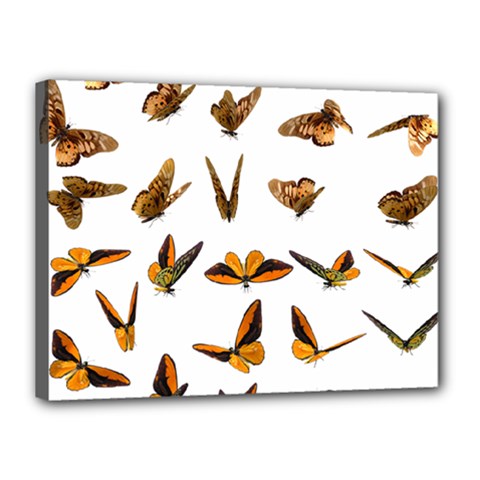 Butterfly Butterflies Insect Swarm Canvas 16  X 12  (stretched) by 99art