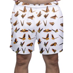 Butterfly Butterflies Insect Swarm Men s Shorts